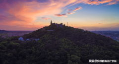 松江也成为名副其实的上海捂盘堆积